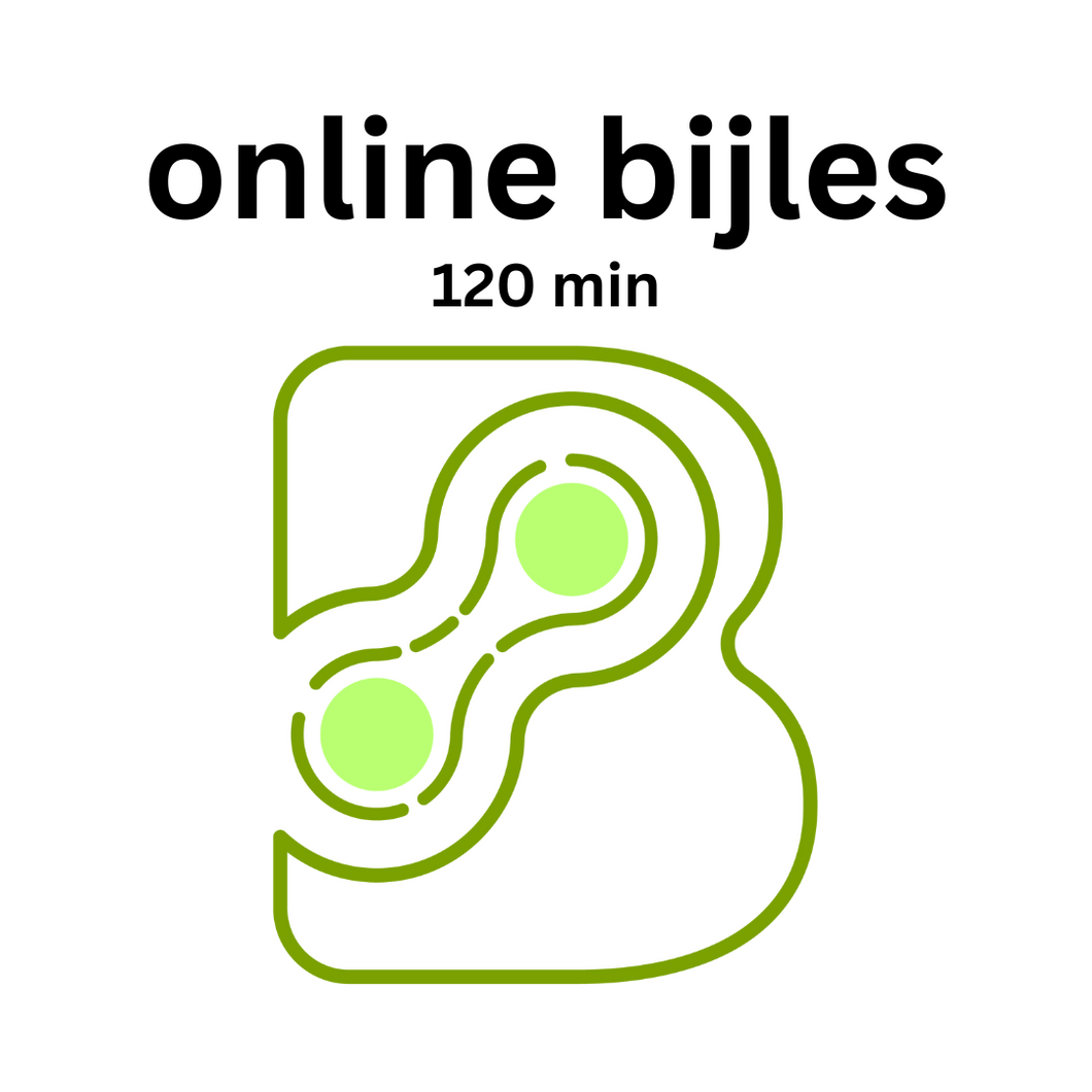 Online bijles 120 minuten